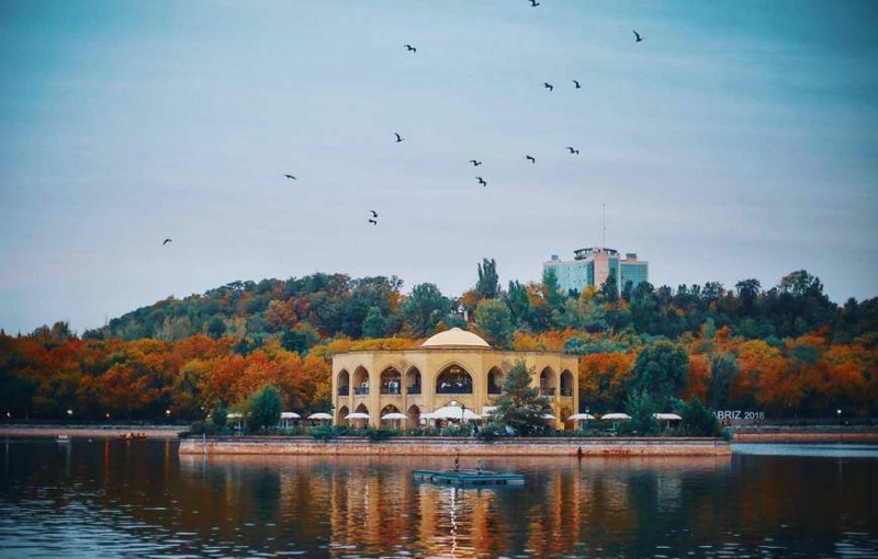 طراحی سایت در تبریز